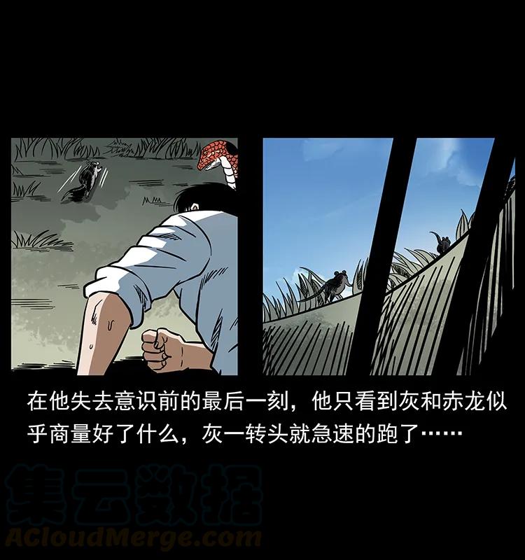 幽冥诡匠 167 陈老狗遇险 第44页