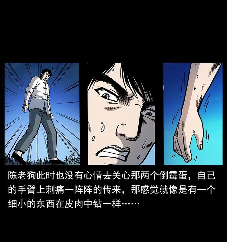 幽冥诡匠 167 陈老狗遇险 第33页