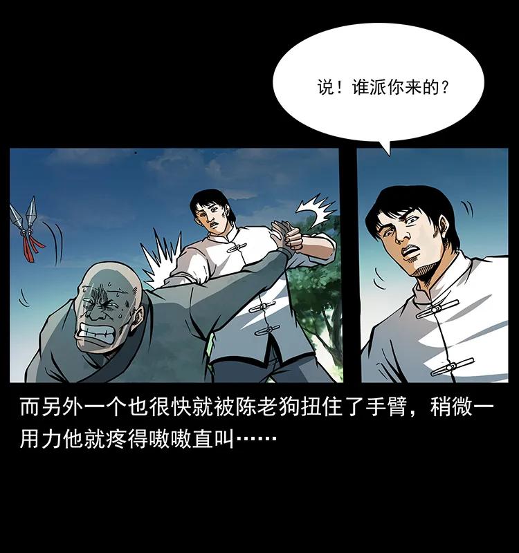 幽冥诡匠 167 陈老狗遇险 第29页