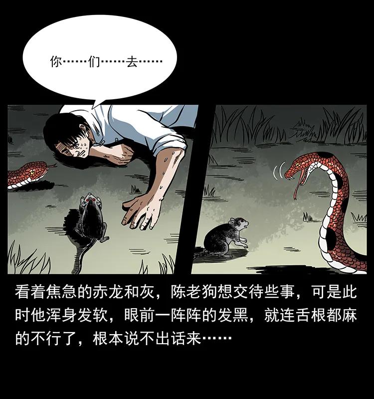 幽冥诡匠 167 陈老狗遇险 第43页