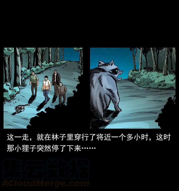 幽冥诡匠 168 独龙乡 第41页