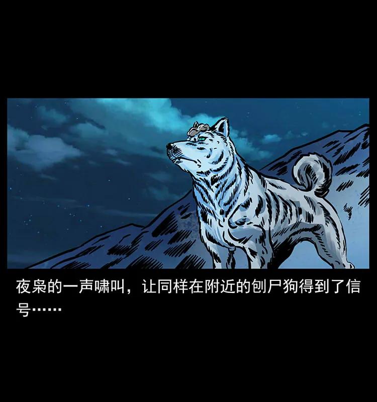 幽冥诡匠 170 布局 第55页