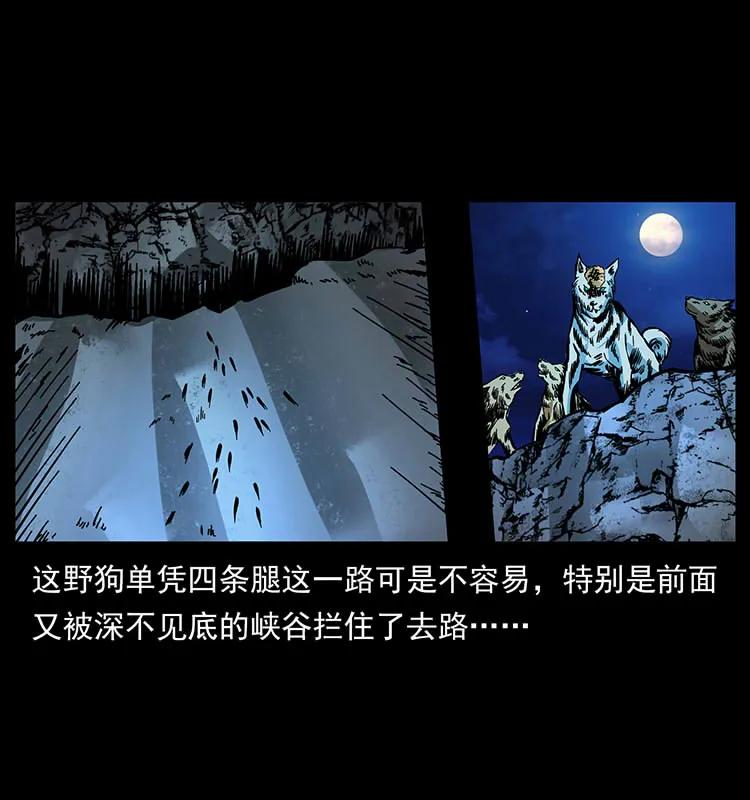 幽冥诡匠 170 布局 第24页