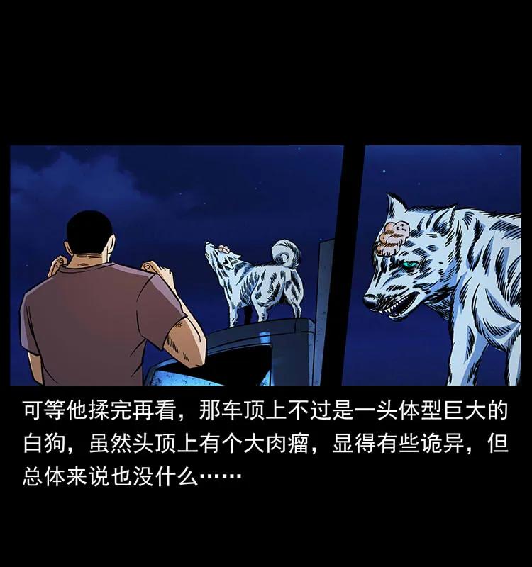 幽冥诡匠 170 布局 第12页