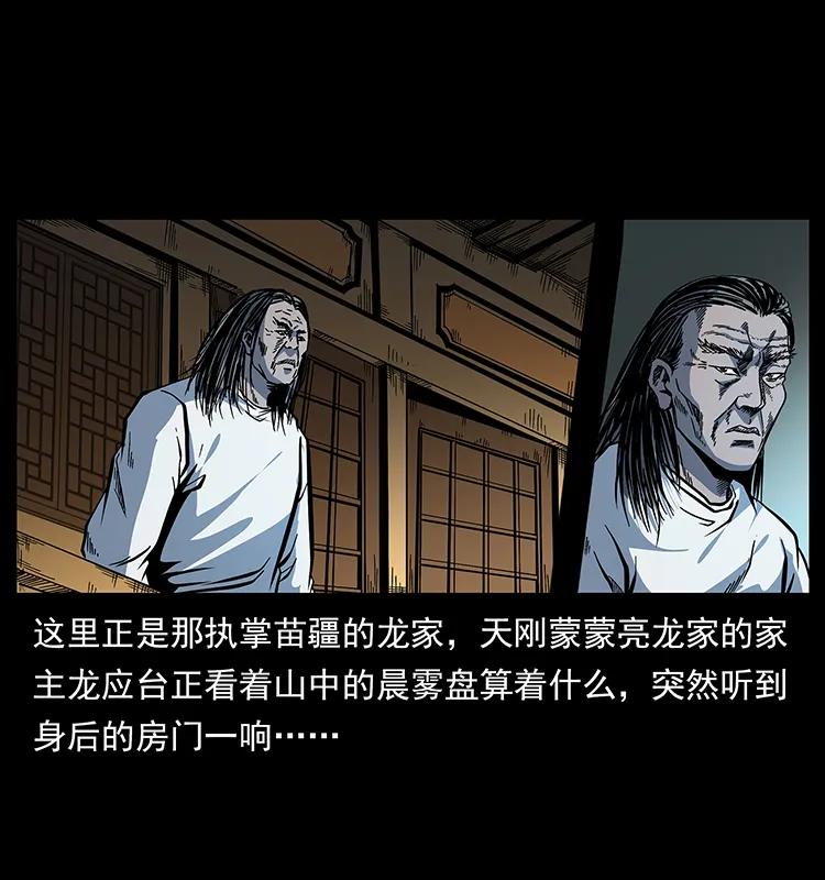 幽冥诡匠 173 踏入龙家 第44页