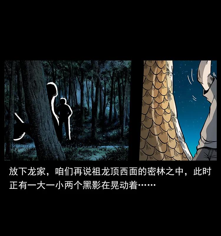 幽冥诡匠 173 踏入龙家 第87页