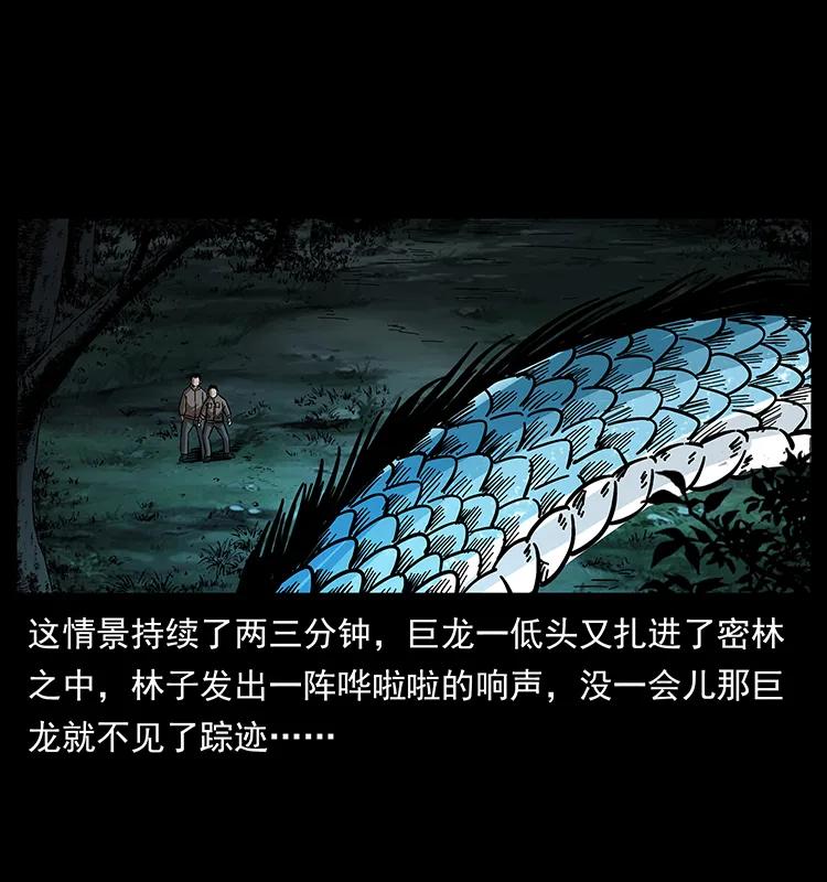 幽冥诡匠 173 踏入龙家 第40页