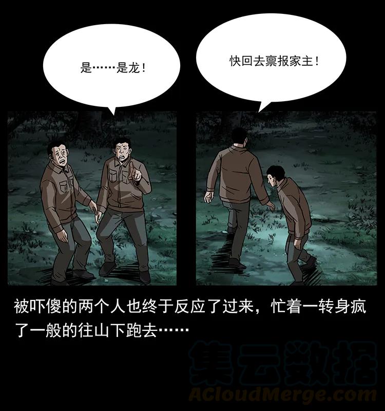 幽冥诡匠 173 踏入龙家 第41页
