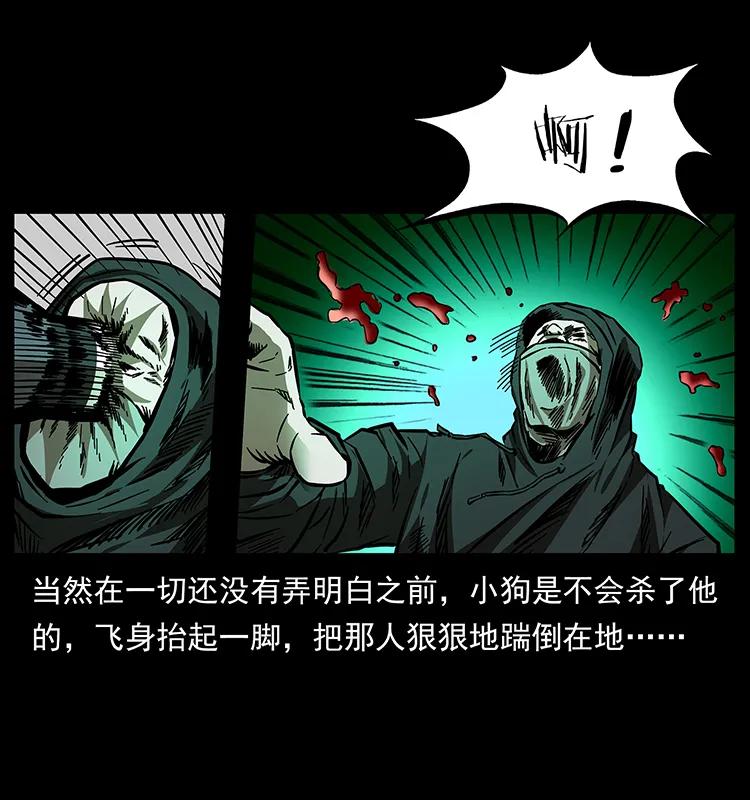 幽冥诡匠 176 对峙祖龙顶 第30页