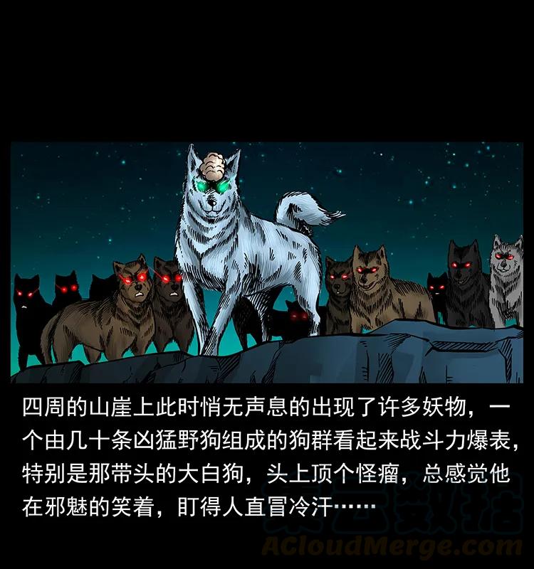 幽冥诡匠 176 对峙祖龙顶 第85页