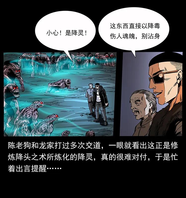 幽冥诡匠 179 龙家的实力 第16页