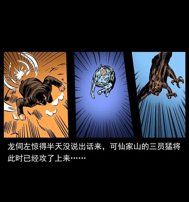 幽冥诡匠 179 龙家的实力 第40页