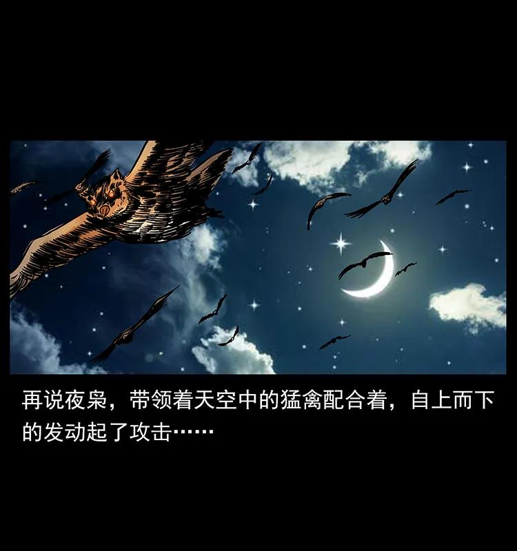 幽冥诡匠 179 龙家的实力 第31页