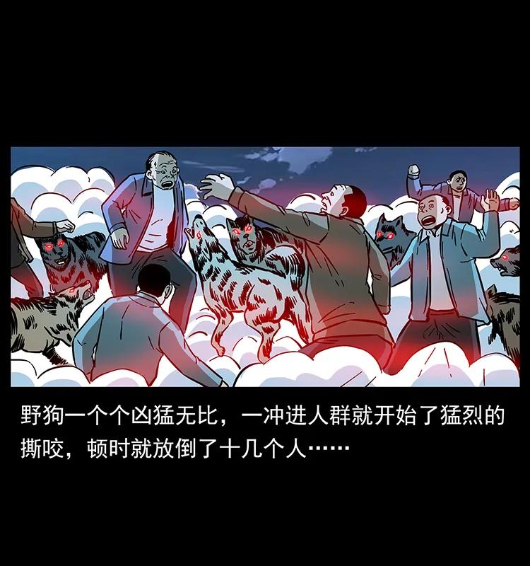 幽冥诡匠 179 龙家的实力 第30页