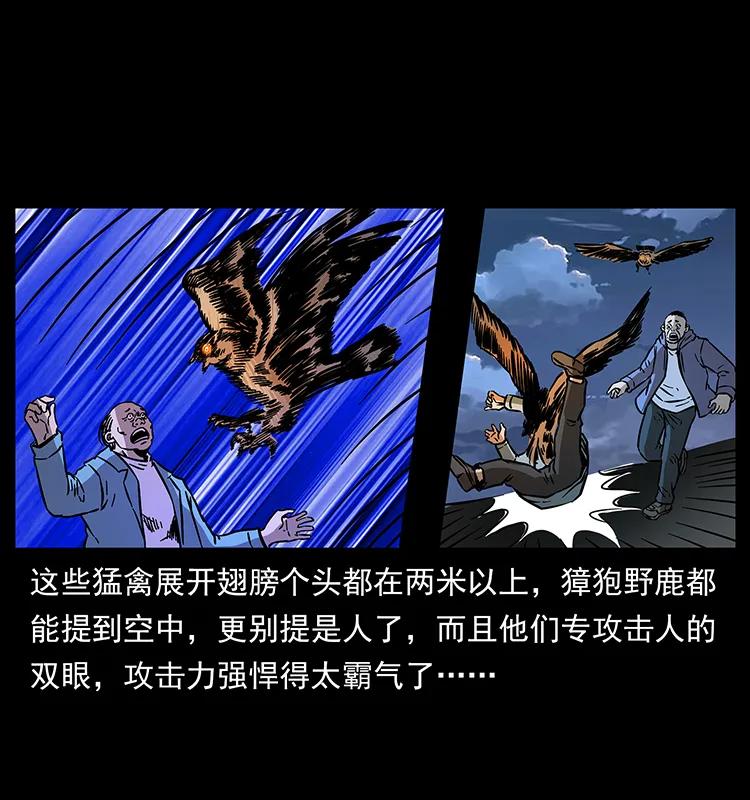 幽冥诡匠 179 龙家的实力 第32页