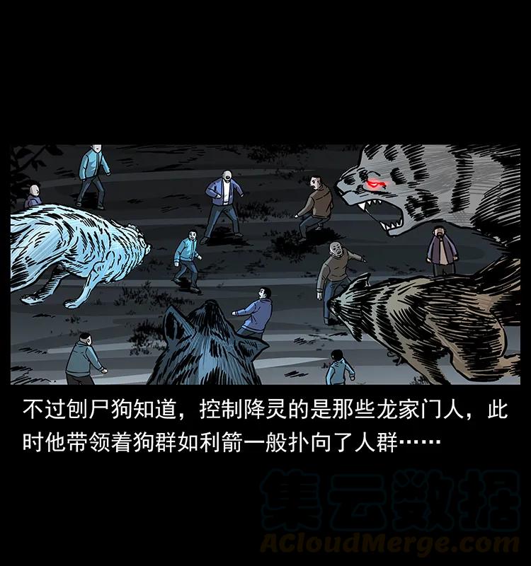 幽冥诡匠 179 龙家的实力 第29页