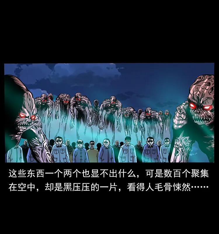 幽冥诡匠 179 龙家的实力 第14页