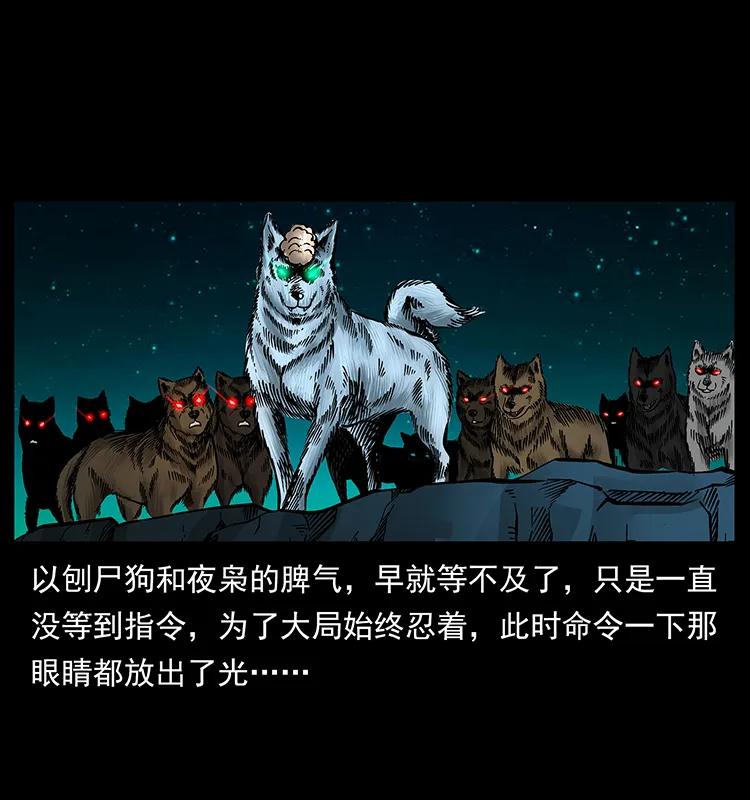 幽冥诡匠 179 龙家的实力 第26页
