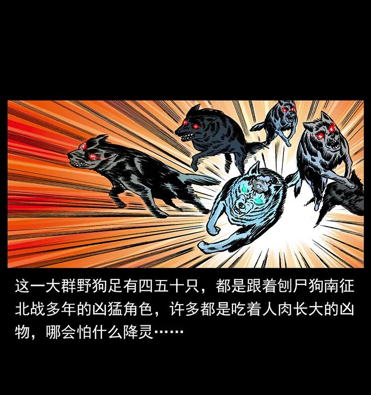 幽冥诡匠 179 龙家的实力 第28页
