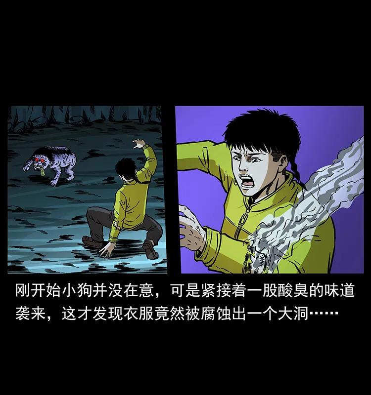 幽冥诡匠 181 龙家人初现 第83页