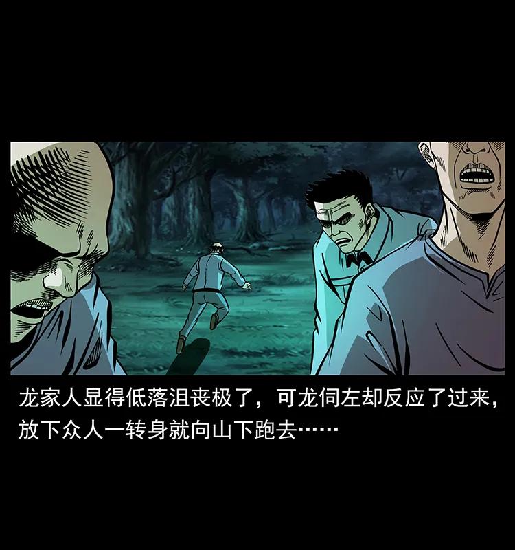 幽冥诡匠 181 龙家人初现 第31页