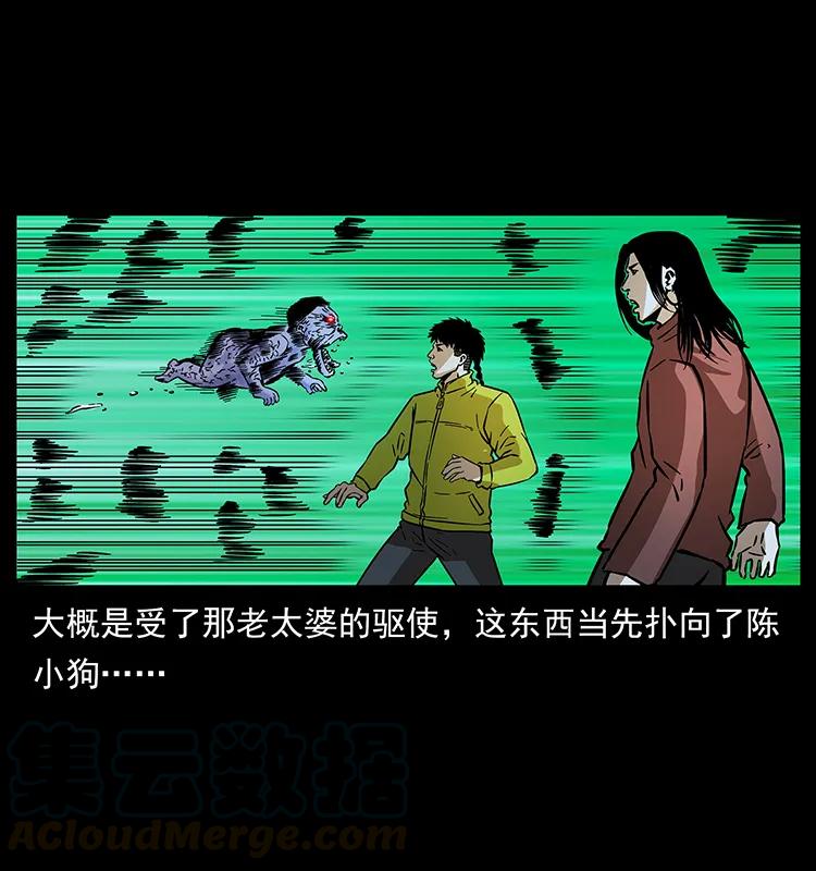幽冥诡匠 181 龙家人初现 第81页