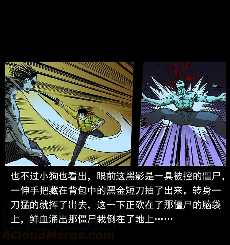 幽冥诡匠 184 赤龙的生死劫 第9页