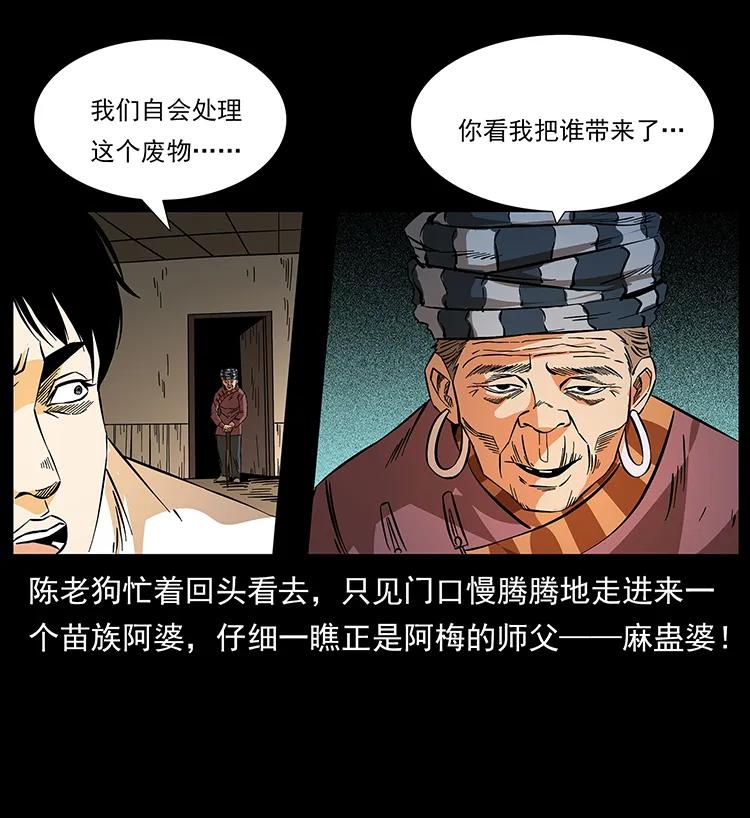 幽冥诡匠 189 龙家的实力 第47页