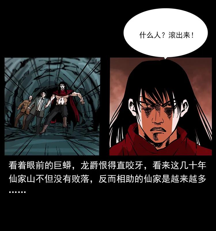 幽冥诡匠 189 龙家的实力 第15页