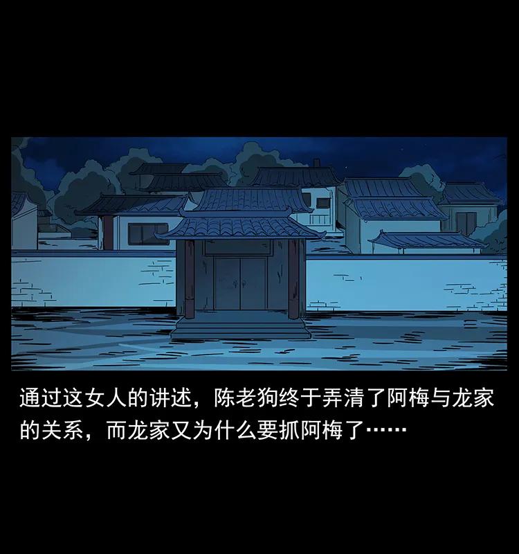 幽冥诡匠 189 龙家的实力 第70页