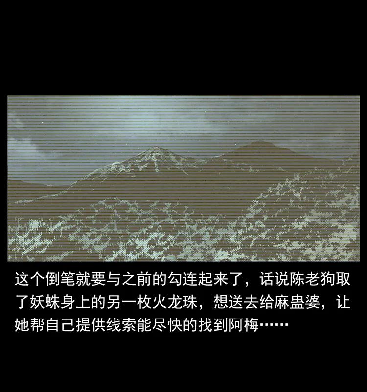幽冥诡匠 189 龙家的实力 第35页