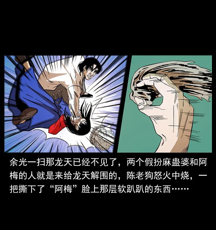 幽冥诡匠 189 龙家的实力 第62页
