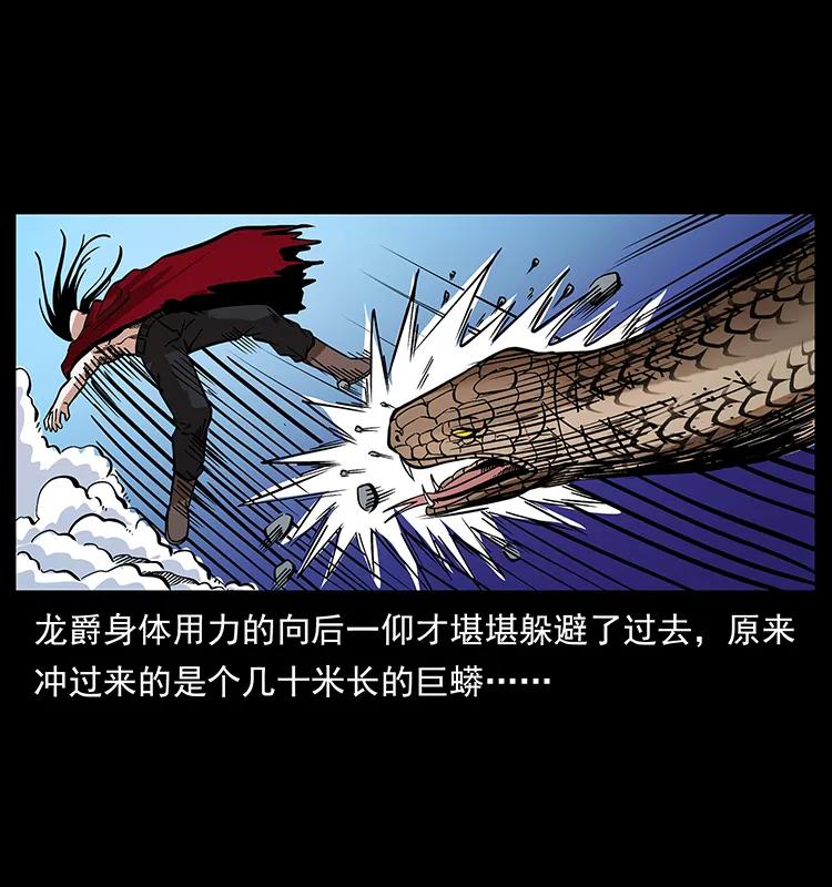幽冥诡匠 189 龙家的实力 第14页