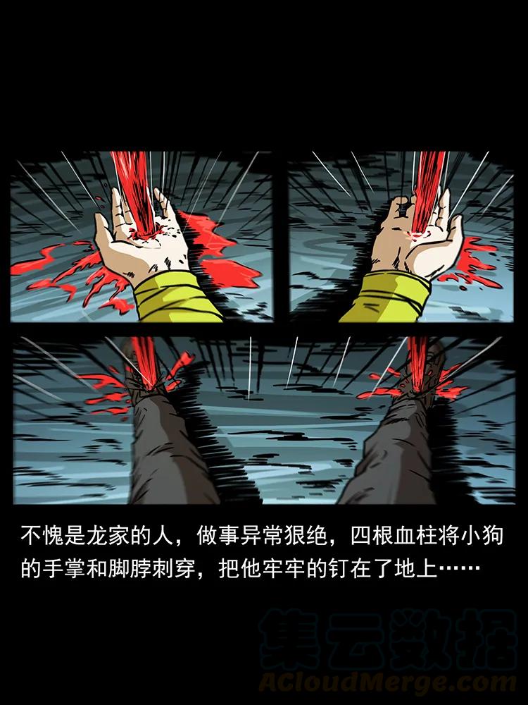 幽冥诡匠 189 龙家的实力 第5页