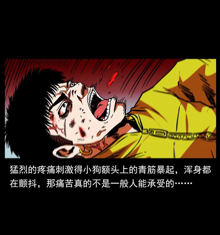幽冥诡匠 189 龙家的实力 第6页