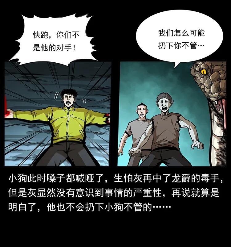 幽冥诡匠 189 龙家的实力 第19页