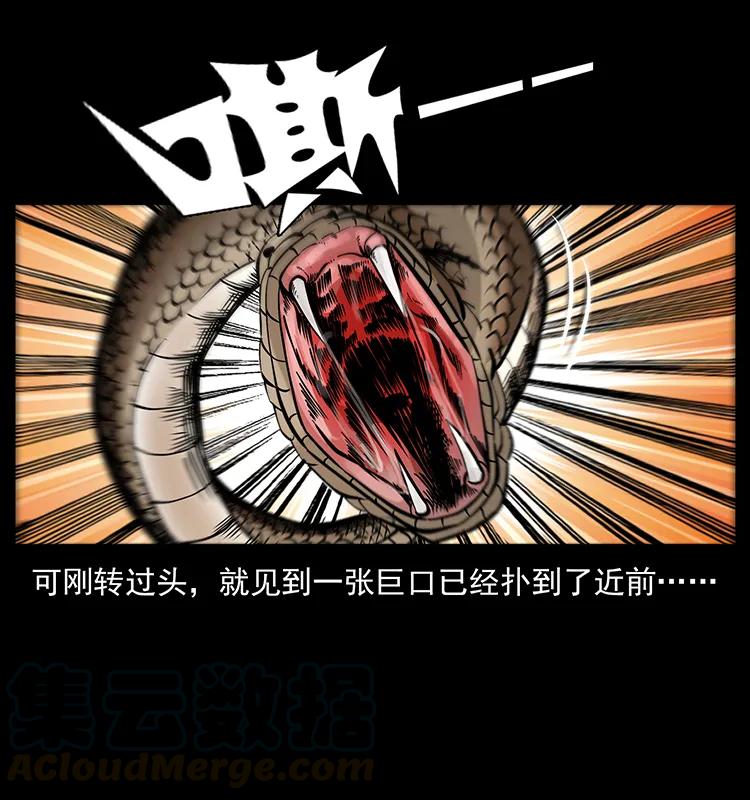 幽冥诡匠 189 龙家的实力 第13页