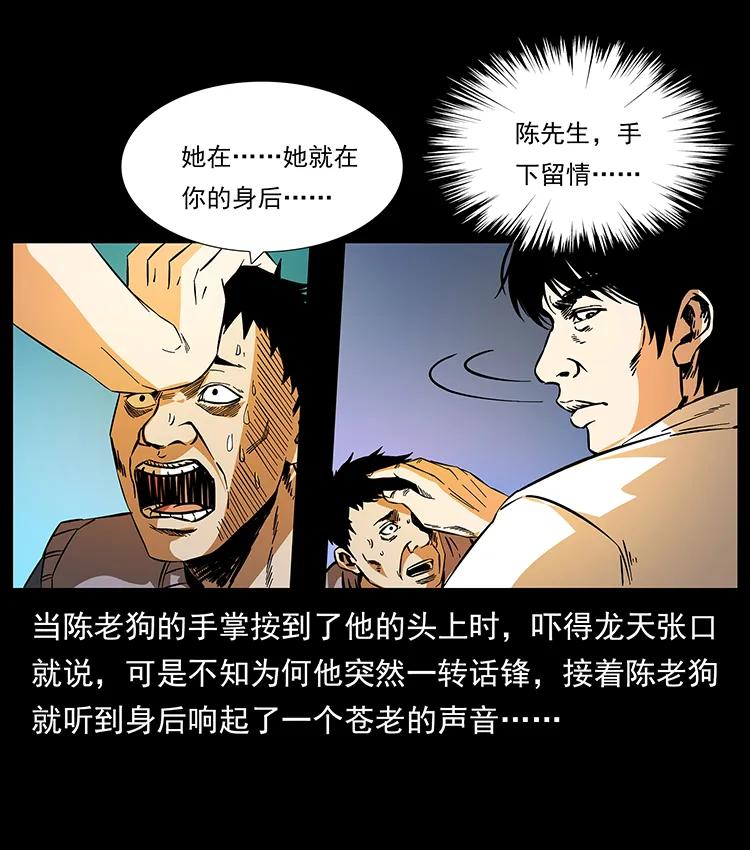 幽冥诡匠 189 龙家的实力 第46页