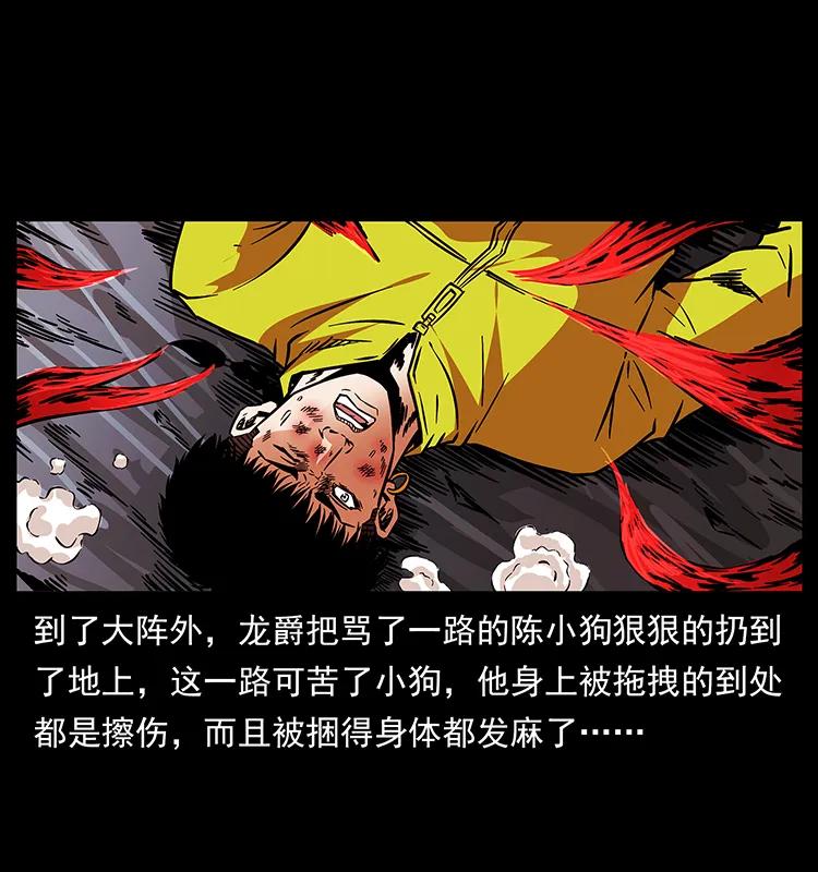 幽冥诡匠 189 龙家的实力 第3页