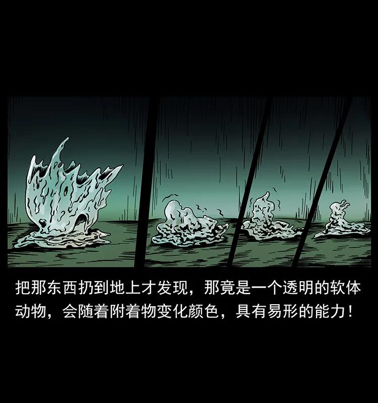 幽冥诡匠 189 龙家的实力 第63页