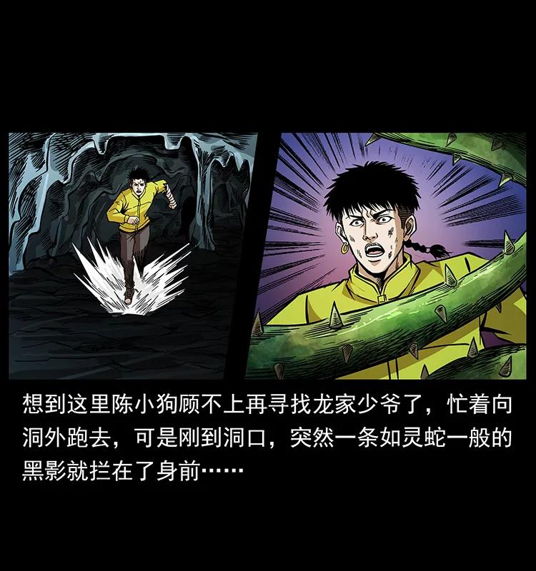 幽冥诡匠 192 龙家的废材 第47页