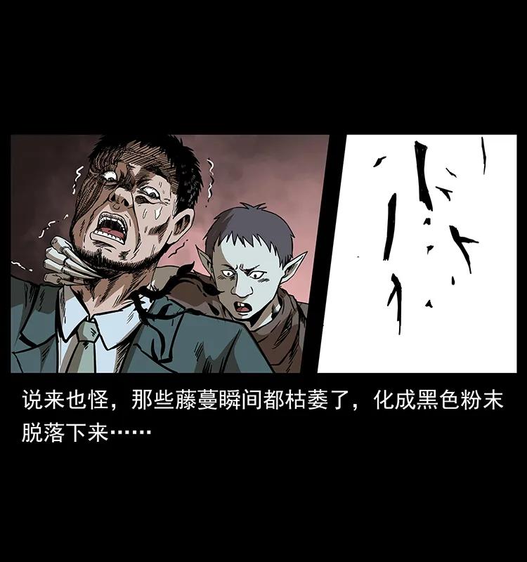 幽冥诡匠 193 草蛊婆 第16页