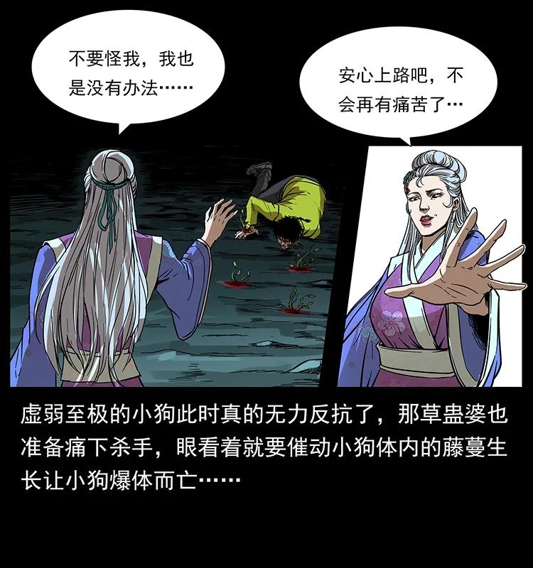 幽冥诡匠 193 草蛊婆 第4页