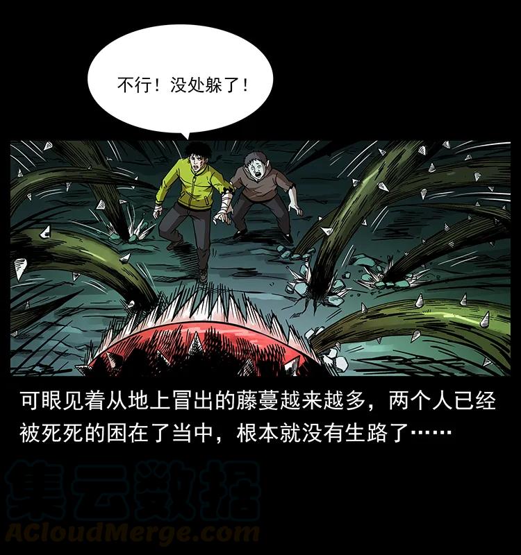幽冥诡匠 193 草蛊婆 第41页