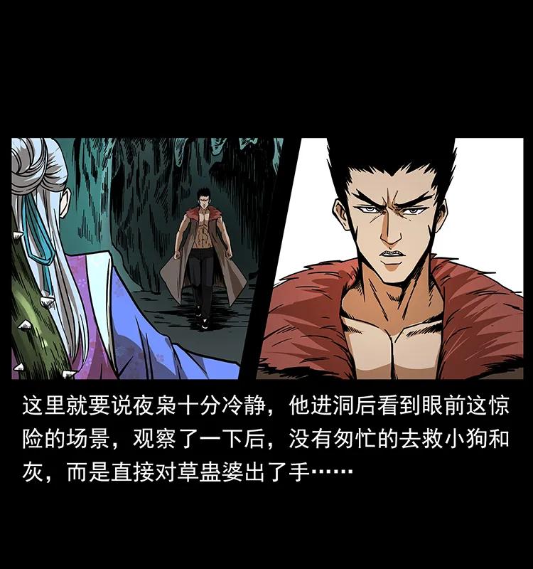 幽冥诡匠 193 草蛊婆 第46页