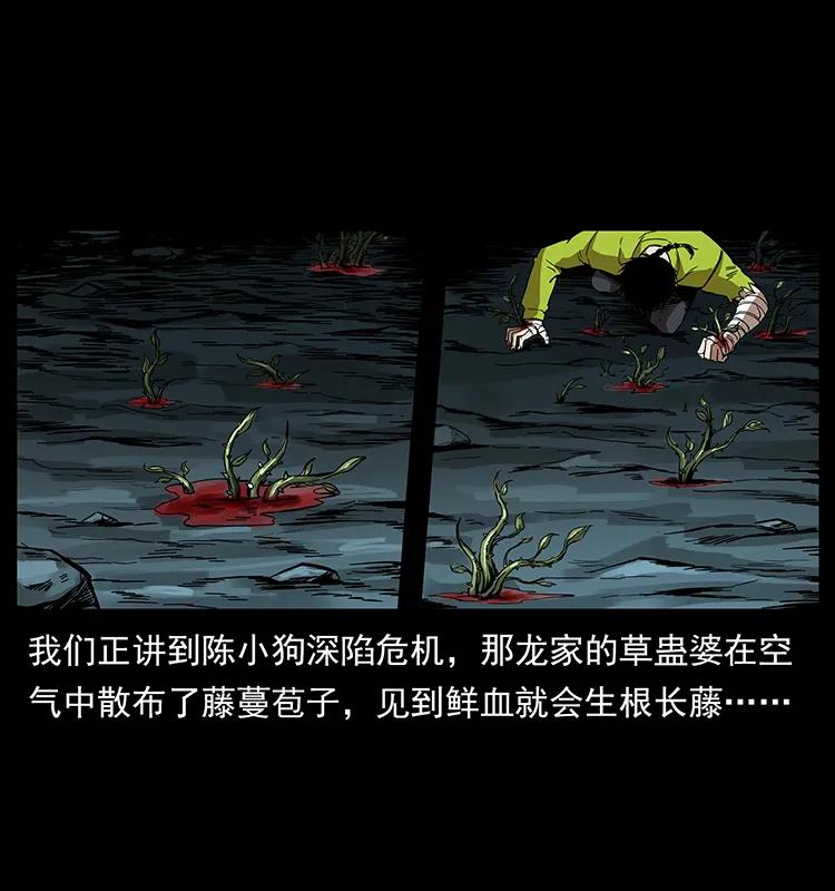幽冥诡匠 193 草蛊婆 第2页