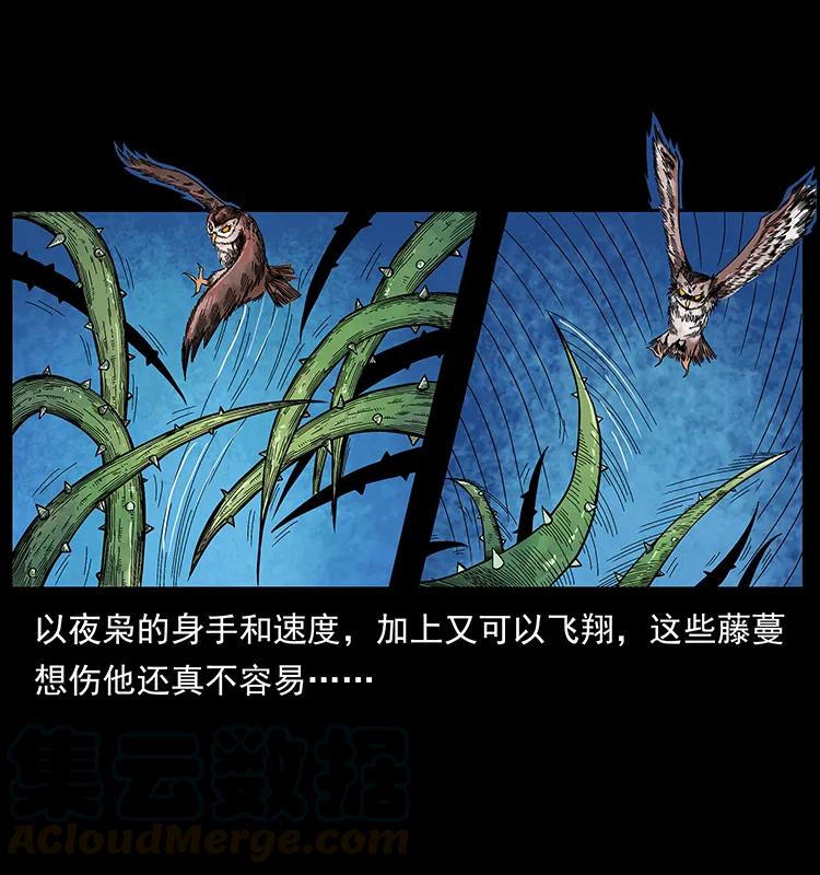 幽冥诡匠 193 草蛊婆 第57页