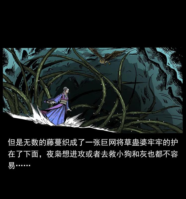 幽冥诡匠 193 草蛊婆 第58页