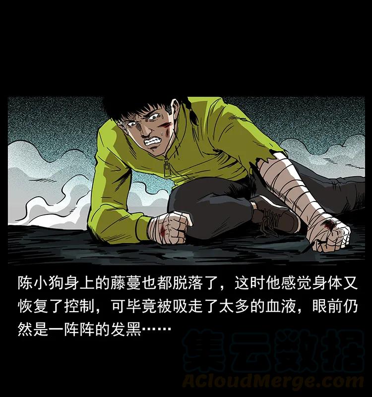 幽冥诡匠 193 草蛊婆 第17页