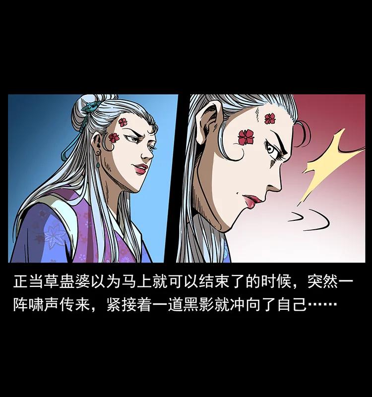 幽冥诡匠 193 草蛊婆 第42页